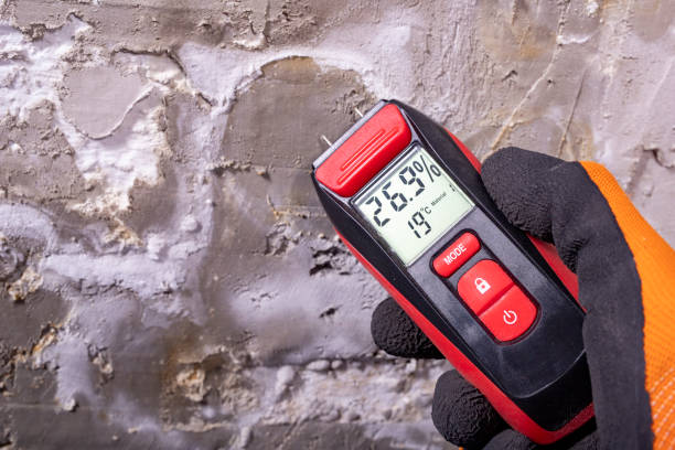 Best Mold Remediation for Specific Building Types in Dry Ridge, KY