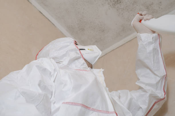Best Residential Mold Remediation in Dry Ridge, KY